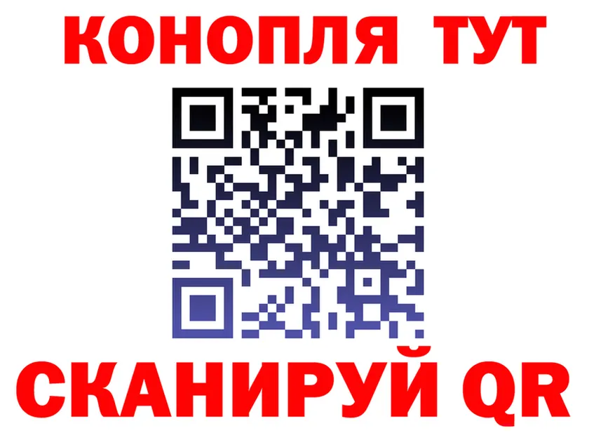 ГАШ Изолятор вход площадка блэк спрут Бобров